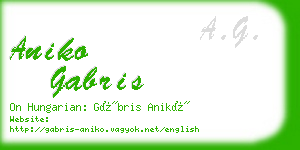 aniko gabris business card